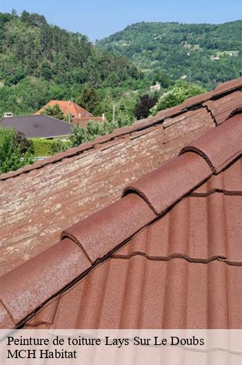 Peinture de toiture lays-sur-le-doubs-71270 MCH Habitat