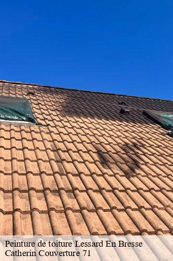 Peinture de toiture  lessard-en-bresse-71440 Catherin Couverture 71