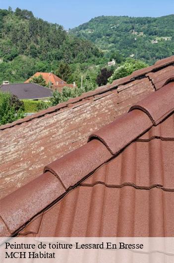 Peinture de toiture lessard-en-bresse-71440 MCH Habitat