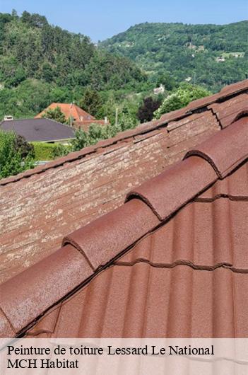 Peinture de toiture  lessard-le-national-71530 MCH Habitat