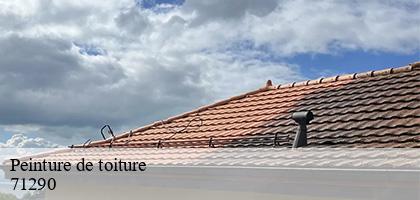 Peinture de toiture  loisy-71290 Catherin Couverture 71