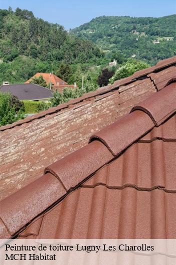Peinture de toiture  lugny-les-charolles-71120 MCH Habitat