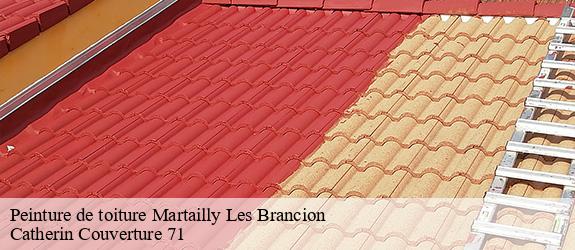 Peinture de toiture  martailly-les-brancion-71700 Catherin Couverture 71