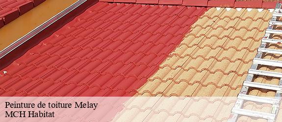 Peinture de toiture melay-71340 MCH Habitat