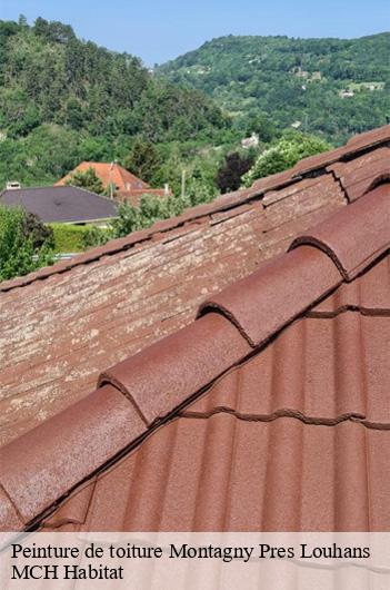 Peinture de toiture montagny-pres-louhans-71500 MCH Habitat