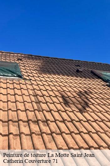 Peinture de toiture la-motte-saint-jean-71160 Catherin Couverture 71