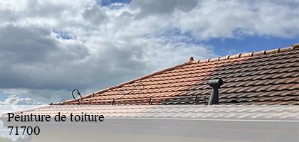 Peinture de toiture  ozenay-71700 Catherin Couverture 71