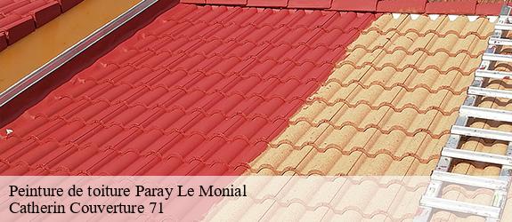 Peinture de toiture  paray-le-monial-71600 Catherin Couverture 71