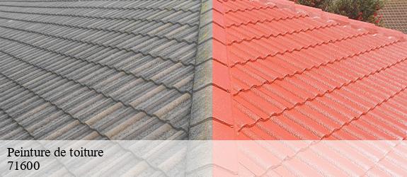 Peinture de toiture  paray-le-monial-71600 Catherin Couverture 71