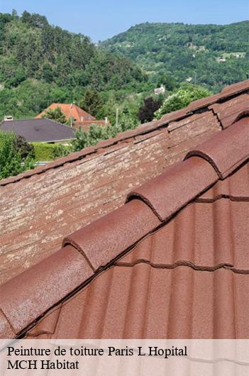 Peinture de toiture paris-l-hopital-71150 MCH Habitat