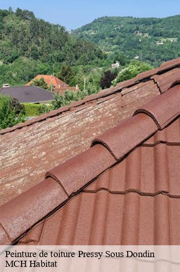 Peinture de toiture  pressy-sous-dondin-71220 MCH Habitat