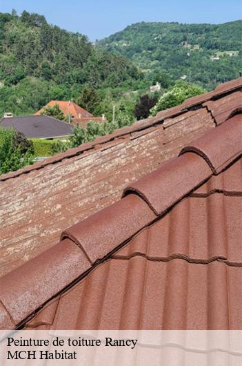 Peinture de toiture rancy-71290 MCH Habitat