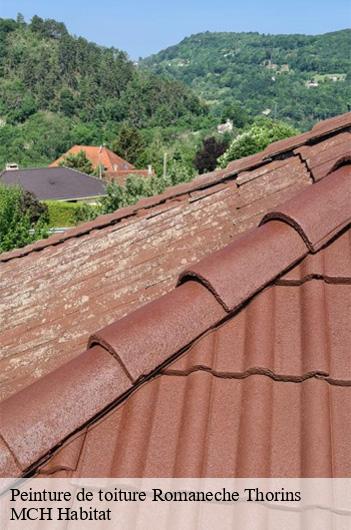Peinture de toiture  romaneche-thorins-71570 MCH Habitat