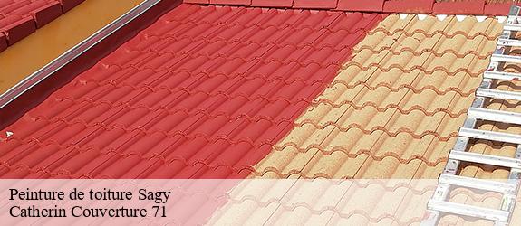 Peinture de toiture  sagy-71580 Catherin Couverture 71
