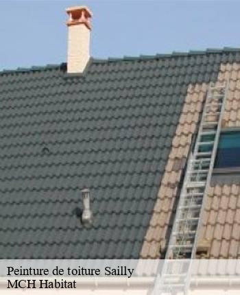 Peinture de toiture  sailly-71250 MCH Habitat
