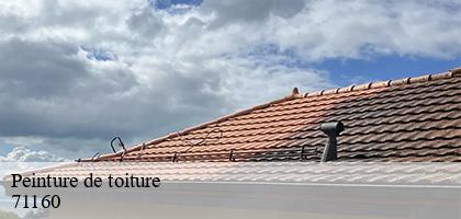 Peinture de toiture saint-agnan-71160 MCH Habitat