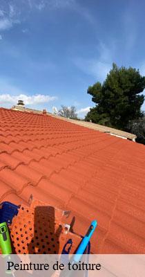 Peinture de toiture  saint-ambreuil-71240 Catherin Couverture 71