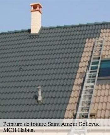Peinture de toiture  saint-amour-bellevue-71570 MCH Habitat