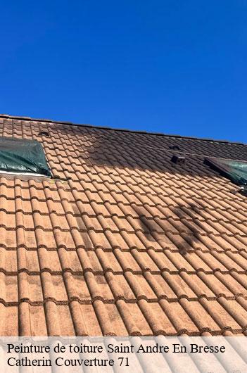 Peinture de toiture saint-andre-en-bresse-71440 Catherin Couverture 71