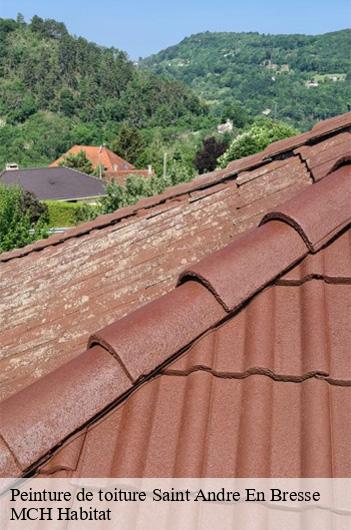 Peinture de toiture  saint-andre-en-bresse-71440 MCH Habitat