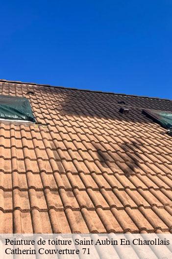 Peinture de toiture  saint-aubin-en-charollais-71430 Catherin Couverture 71