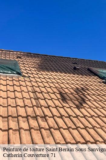 Peinture de toiture  saint-berain-sous-sanvignes-71300 Catherin Couverture 71