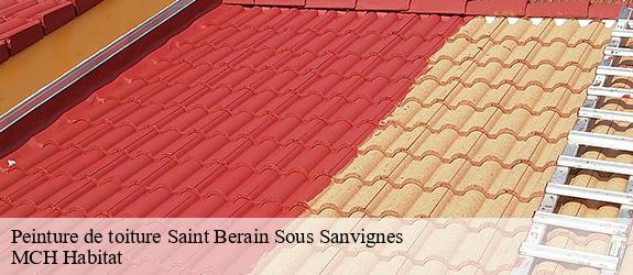 Peinture de toiture saint-berain-sous-sanvignes-71300 MCH Habitat