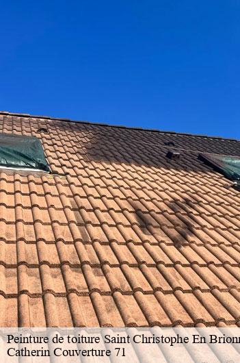 Peinture de toiture  saint-christophe-en-brionnai-71800 Catherin Couverture 71