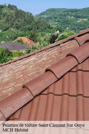 Peinture de toiture saint-clement-sur-guye-71460 MCH Habitat