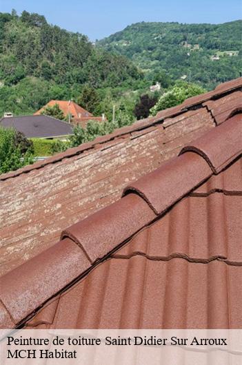 Peinture de toiture  saint-didier-sur-arroux-71190 MCH Habitat