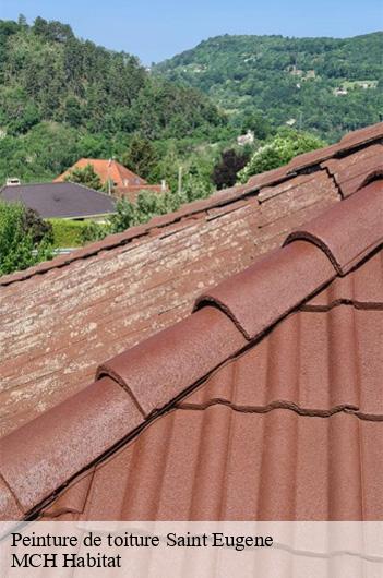 Peinture de toiture  saint-eugene-71190 MCH Habitat