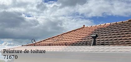 Peinture de toiture  saint-firmin-71670 Catherin Couverture 71
