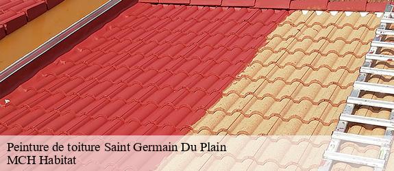 Peinture de toiture saint-germain-du-plain-71370 MCH Habitat