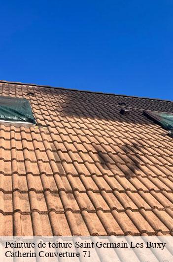 Peinture de toiture  saint-germain-les-buxy-71390 Catherin Couverture 71