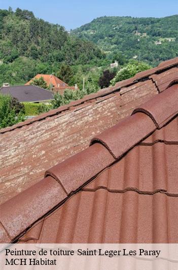 Peinture de toiture  saint-leger-les-paray-71600 MCH Habitat