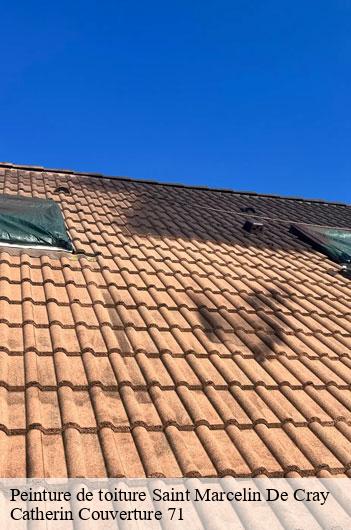 Peinture de toiture  saint-marcelin-de-cray-71460 Catherin Couverture 71