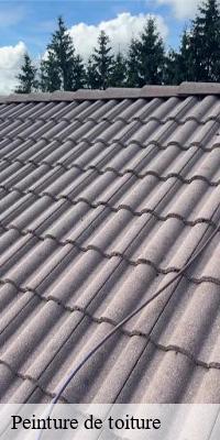 Peinture de toiture saint-marcelin-de-cray-71460 MCH Habitat