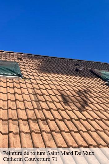 Peinture de toiture  saint-mard-de-vaux-71640 Catherin Couverture 71