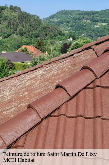 Peinture de toiture  saint-martin-de-lixy-71740 MCH Habitat