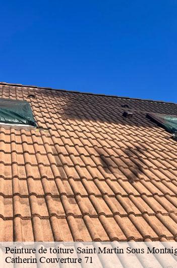 Peinture de toiture  saint-martin-sous-montaigu-71640 Catherin Couverture 71
