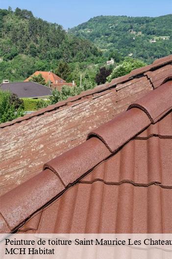 Peinture de toiture  saint-maurice-les-chateauneu-71740 MCH Habitat