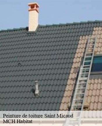 Peinture de toiture  saint-micaud-71460 MCH Habitat