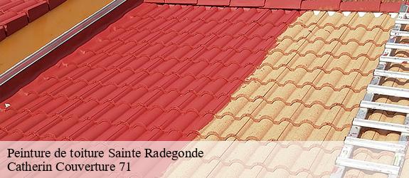 Peinture de toiture  sainte-radegonde-71320 Catherin Couverture 71