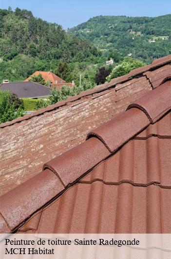Peinture de toiture  sainte-radegonde-71320 MCH Habitat