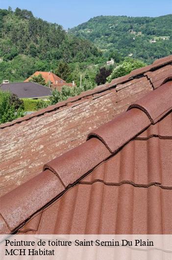 Peinture de toiture saint-sernin-du-plain-71510 MCH Habitat