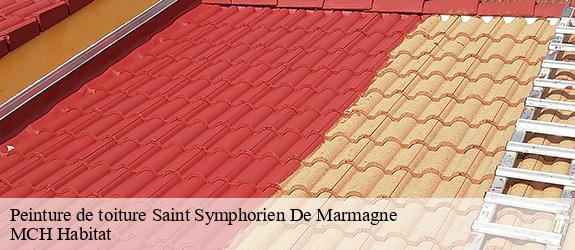 Peinture de toiture saint-symphorien-de-marmagne-71710 MCH Habitat