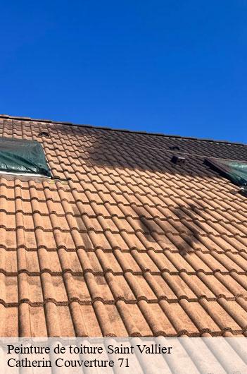 Peinture de toiture  saint-vallier-71230 Catherin Couverture 71