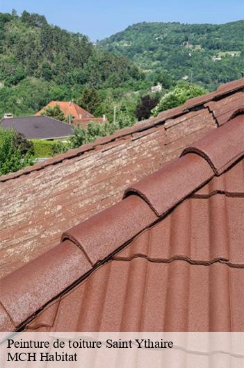 Peinture de toiture saint-ythaire-71460 MCH Habitat
