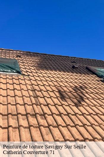 Peinture de toiture  savigny-sur-seille-71440 Catherin Couverture 71