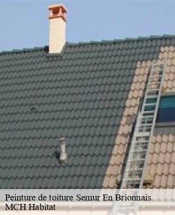 Peinture de toiture semur-en-brionnais-71110 MCH Habitat